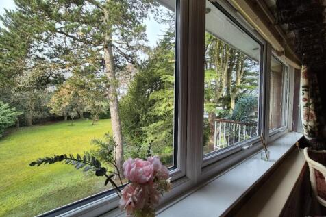 20250205_113648_resized_1