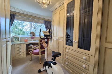 20250205_113509_resized_1