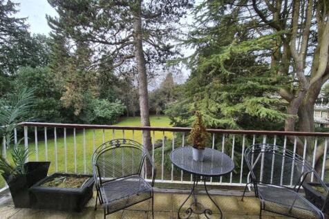 20250205_113308_resized_1