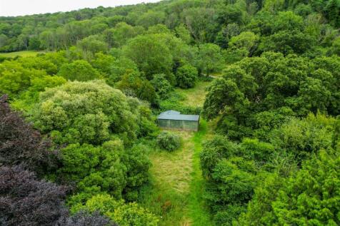 Hollis Morgan Auctions