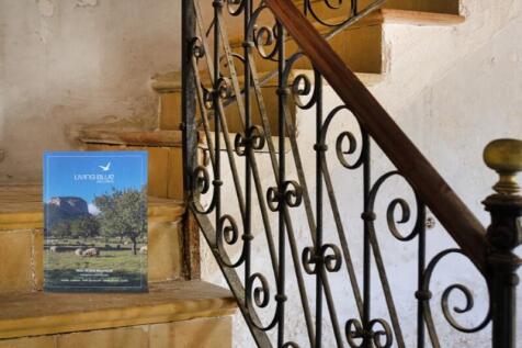 House-reform-for-sale-Muro-Living-Blue-Mallorca (19)