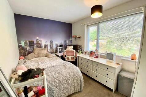 Picture 7