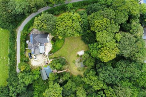 Birds Eye