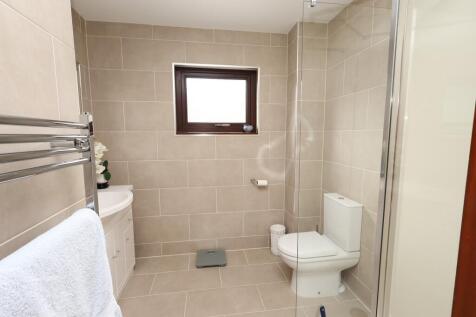 Shower Room (downstairs)