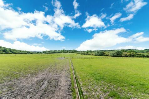 HORSE FIELD