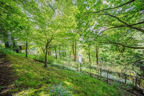 Property Image 37