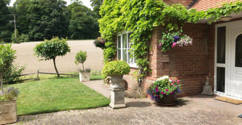 Property Image 49