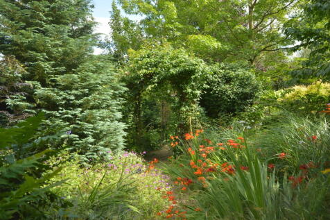Property Image 31