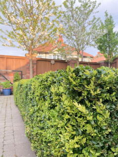 Property Image 44