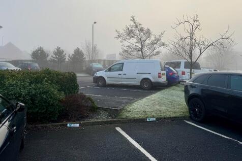 17 allocated spaces.