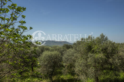 Montalcino Meravigli