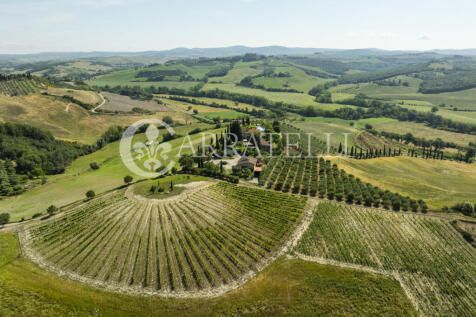 Montalcino meravigli