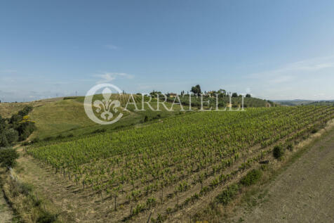 Montalcino meravigli