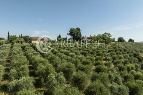 Montalcino meravigli