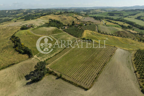 Montalcino meravigli