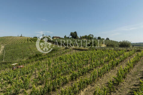 Montalcino meravigli