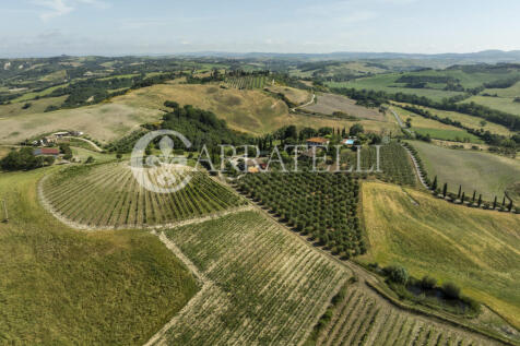 Montalcino meravigli