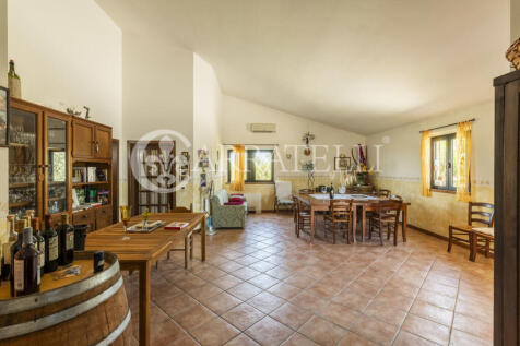 Montalcino meravigli
