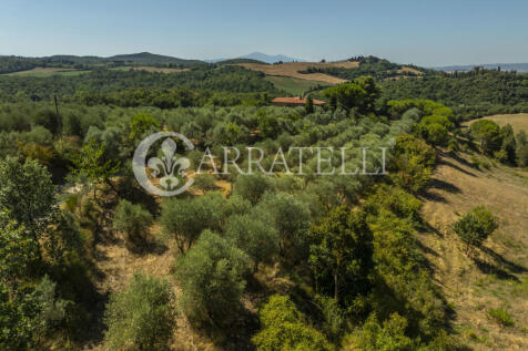 Casale in campgna a 
