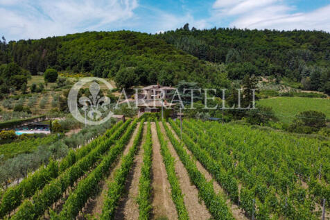 Azienda agricola con