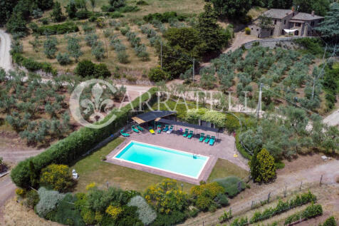 Azienda agricola con