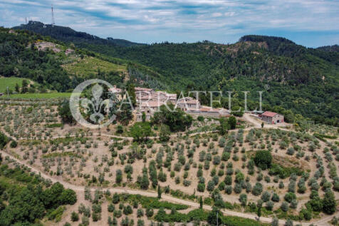 Azienda agricola con