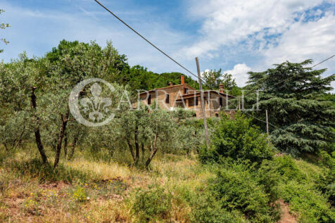 Azienda agricola con