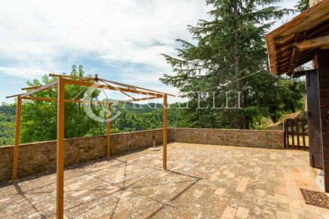 Azienda agricola con