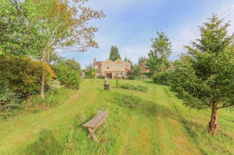 Rear Garden picture 2