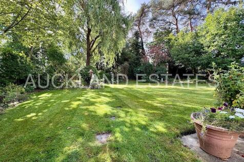 IMG_7947-17579432...