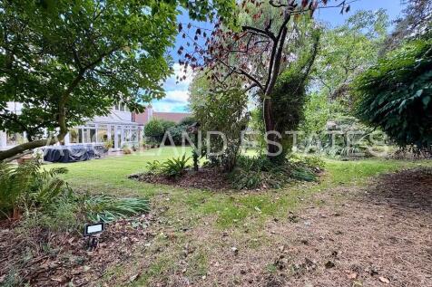 IMG_7964-17579432...