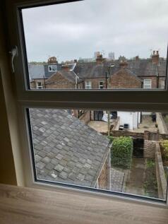 window