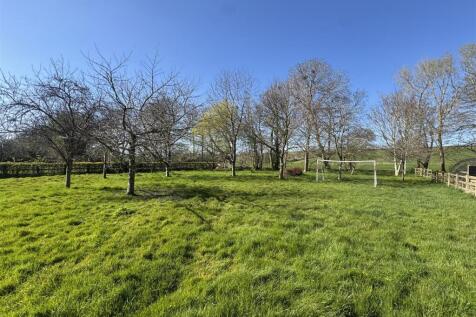 Orchard