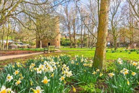 Property Image 21