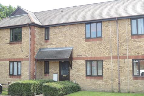 195 Chinook FRONT.JPG