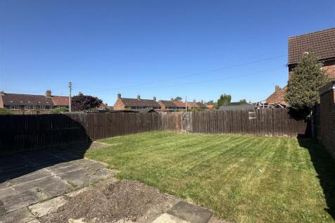 IMG_3631.jpeg