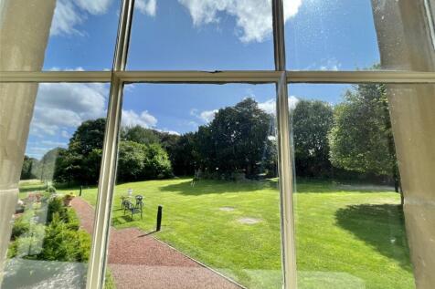 Window View