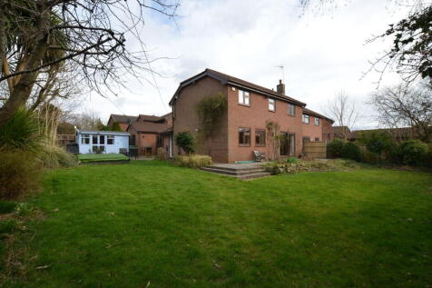 Property Image 39