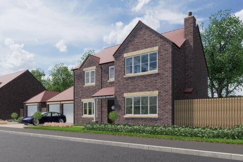 Plot 8