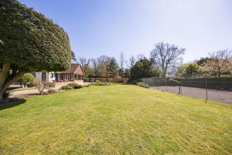 Stunning Garden