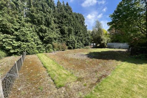 vegetable area.JPG