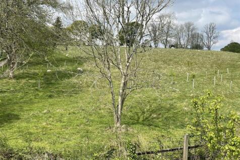 view from bedroom.jpeg