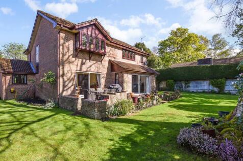 Property Image 17