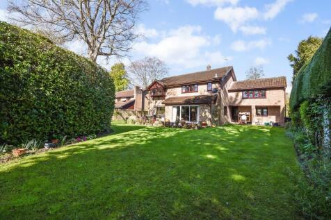 Property Image 18