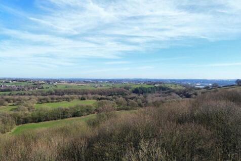 PHOTO-2025-03-06-09-41-20 (5).jpg