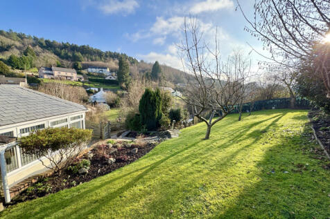 Lawn Area
