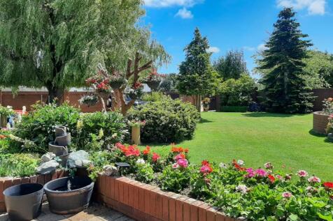 Front Garden in Summer