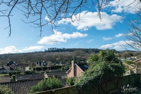 Views of Ventnor Down