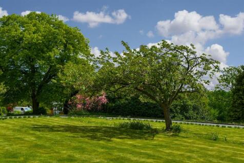 Grounds