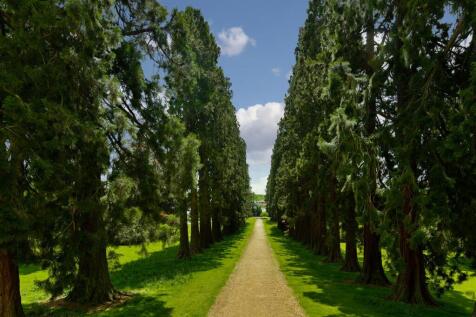 Grounds